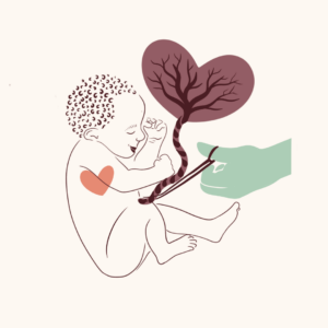 Baby met navelstreng en placenta. Navelstreng wordt doorgeknipt door hand.