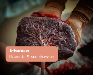 e-learning placenta
