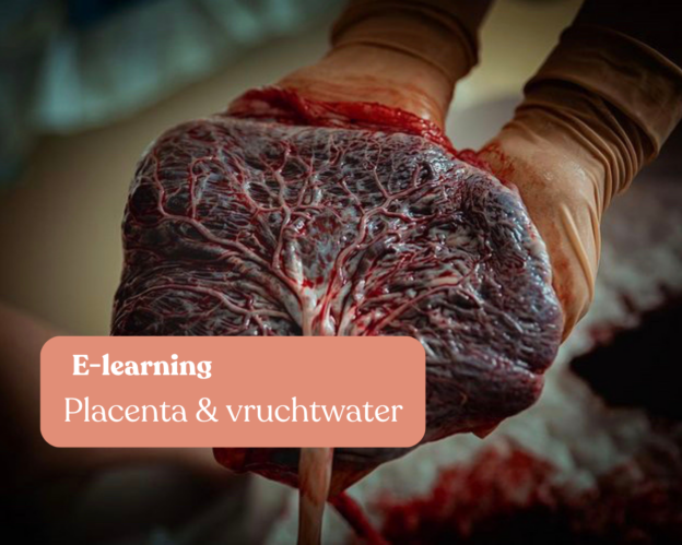 e-learning placenta